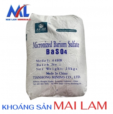 baso4photoroom-4176.jpg